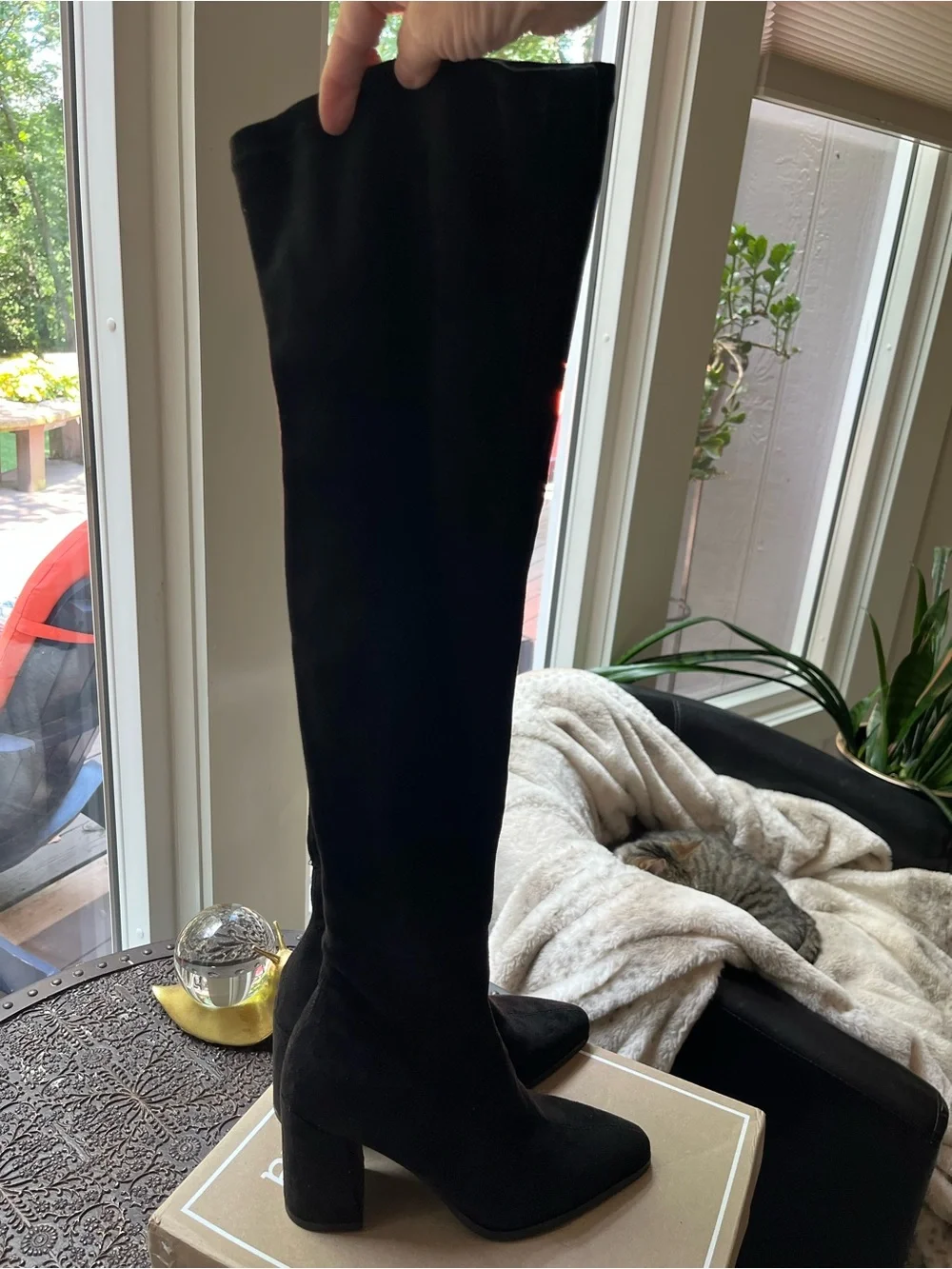 DOLCE VITA SELORA OVER THE KNEE MICRO SUEDE BOOTS IN BLACK 6.5